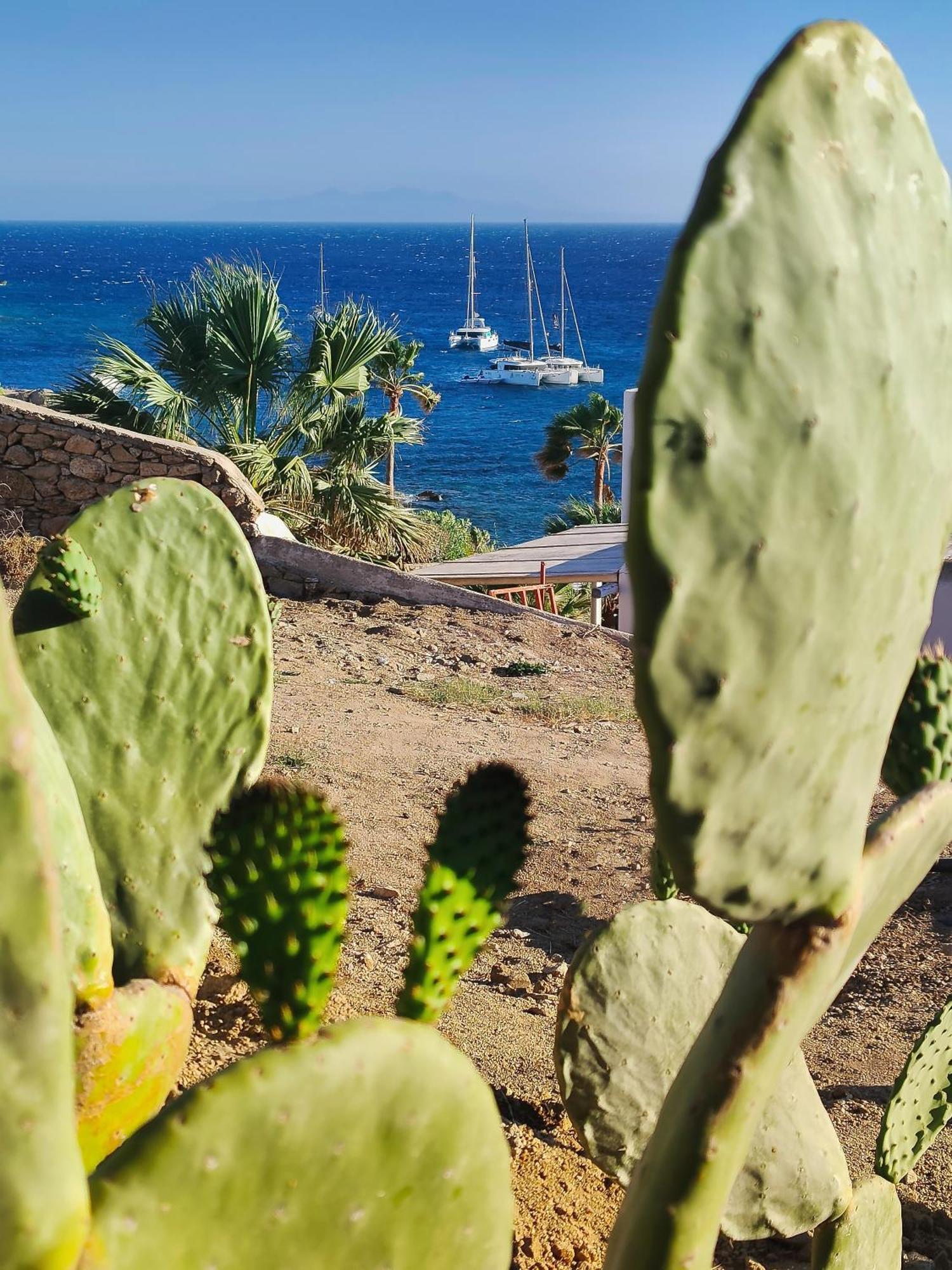 Seacode Villas Platys Gialos  Buitenkant foto